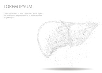 Abstract image of a Human Liver Internal Organ .  Abstract image of a starry sky or space, consisting of points, lines, and shapes in the form of planets, stars and the universe. Low poly vector