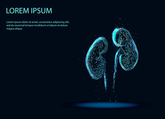 Abstract image of a Human Kidney internal organ. Abstract image of a starry sky or space, consisting of points, lines, and shapes in the form of planets, stars and the universe. Low poly vector