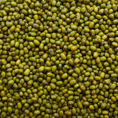 fresh muung beans on a white background