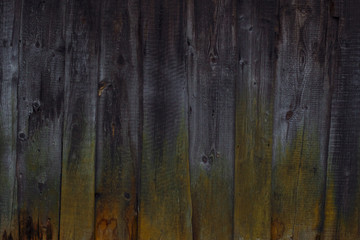 Natural background of wooden boards overgrown with moss on one side