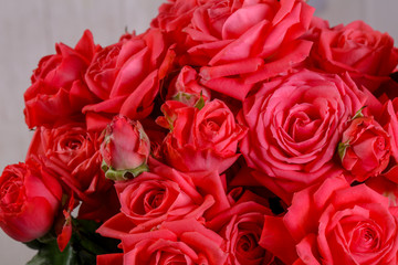 Obraz na płótnie Canvas Red roses flowers