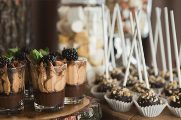 Chocolate dessert topped with cream and blackberry