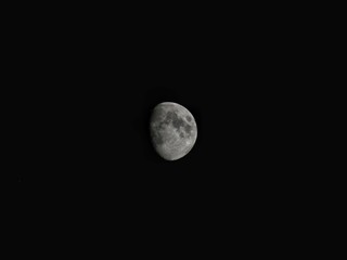 Foto Luna  © Riccardo