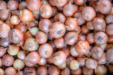 Background food texture of fresh raw brown onions