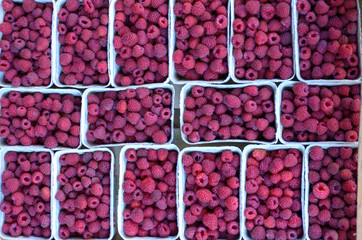 Raspberry for selling on the market