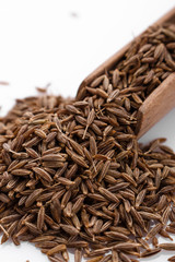 fragrant Zira on a white acrylic background