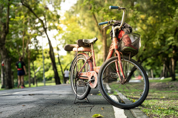 Fototapeta na wymiar close up old vintage bicycle park on concrete road in green park