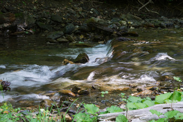 Flowing Stream