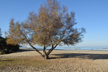 Fototapeta na wymiar Pesaro, spiaggia Baia Flaminia