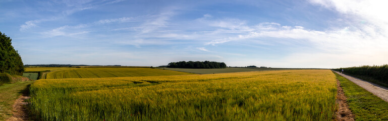 Plakat Rural Field Panorama