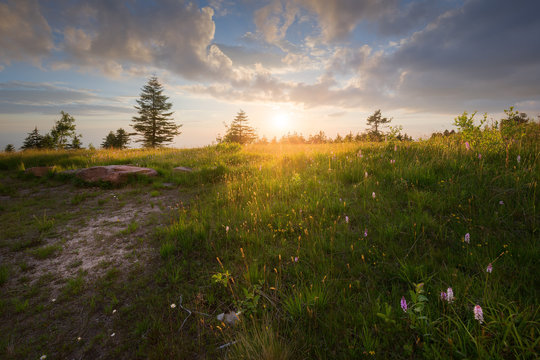 Sommerabend im Nordschwarzwald