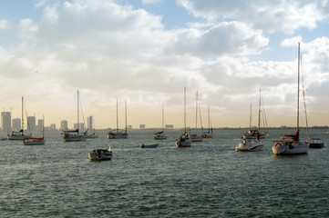 Fototapeta na wymiar Ships, yachts, fishing boats, blue sky background, sunset, clouds, sea, Miami