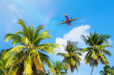 Arrival on tropical summer vacation    