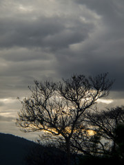 Fototapeta na wymiar Clouds, rain, sky / The sky in the rainy season of tropical countries
