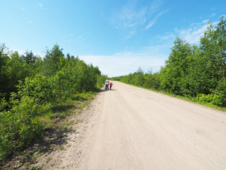 Fototapeta na wymiar woman with a stroller walks along a dirt road in the forest