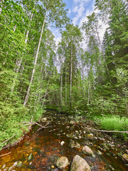 river in the summer. Russia. Karelia