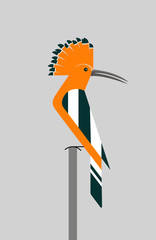 Hoopoe © shepherd302
