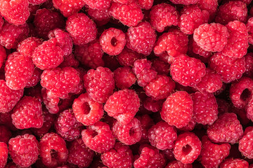 fresh raspberries closeup