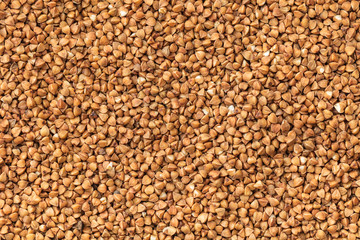 texture of raw buckwheat groats