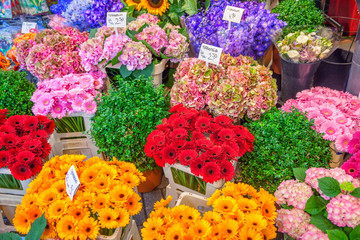 Flower shop in Paris, France