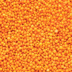 raw lentils texture closeup