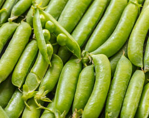texture of green peas pods