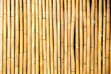 bamboo stalks near the background