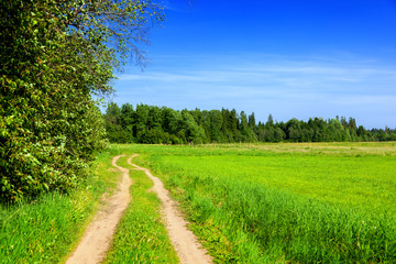 Summer landscape with country road