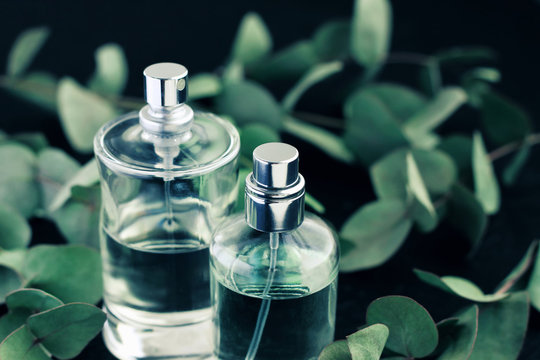 Glass perfume spray bottles, green eucalyptus leaves, black soft background. Natural sensual scents.
