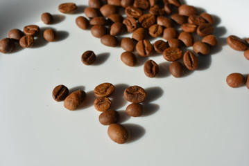 On a white glass plate laid and beautifully laid out a bunch of delicious and edible brown coffee beans