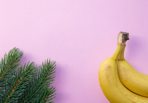 Pine branch and half of banana on pink background. Christmas holiday concept