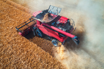 Aerial view on the combine working on the large wheat field