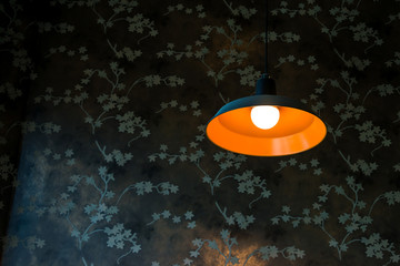 Modern ceiling lamp interior lighting bulbs decoration contemporary