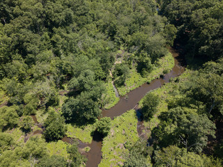 A small brook flows through a wild forest during summer time as shown from above