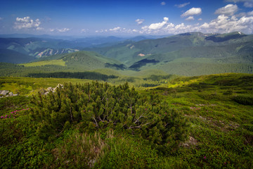 Beautiful mountains and blue sky in the Carpathians. Ukraine.
