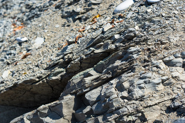 rocks and stones of the sea coast