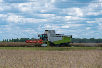 a large white harvester in the field of wheat and corn