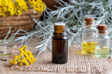 A bottle of helichrysum essential oil with fresh blooming helichrysum plant
