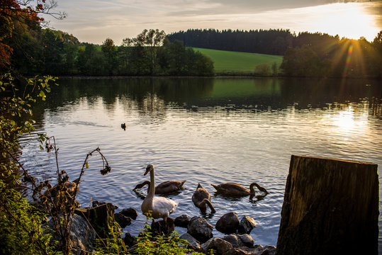 Schwanensee