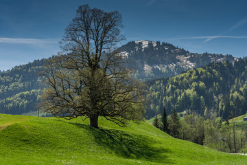 Swiss alps scenic view