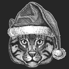 Wild cat, Fishing cat Christmas, new year celebration. Santa Claus winter hat. Xmas headdress.