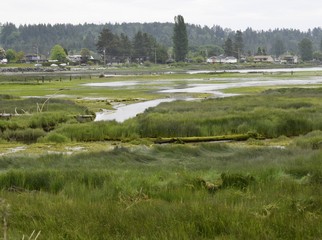 Courtenay estuary during low tide with; Vancouver Island British Columbia Canada 
