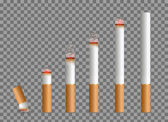 Creative vector illustration of realistic cigarette set isolated on transparent background. Art design different stages of burn. Abstract concept graphic element