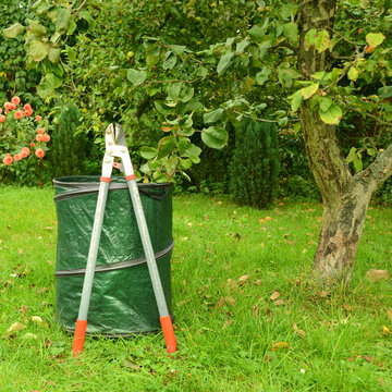 Garten 819