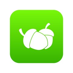 Acorn icon digital green for any design isolated on white vector illustration