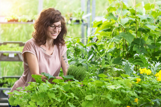 Frau im Gartencenter freut sich &uuml;ber einen Topf frischen Thymian