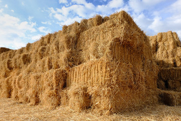 Tied bale of dry straw on ground.