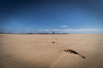 Fototapeta na wymiar footprints in the sand.