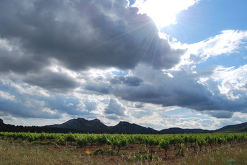 Obraz premium sky