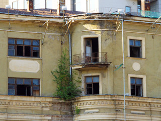 Old collapsing building with a tree growing on the ledge